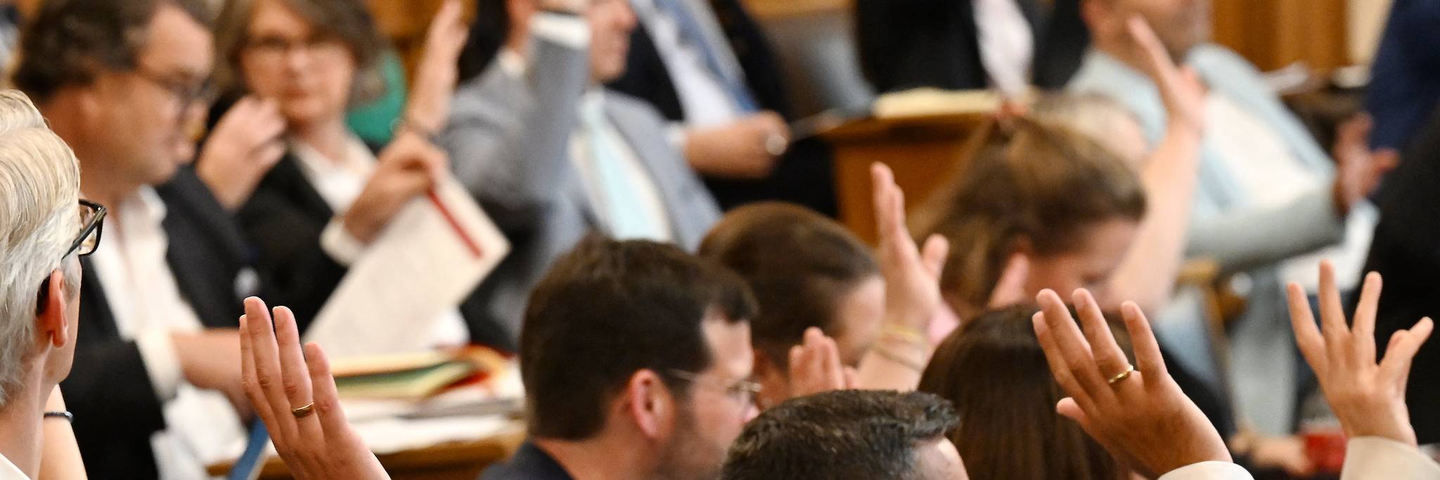 Abstimmung in der Bürgerschaft